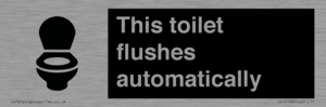 This toilet flushes automatically